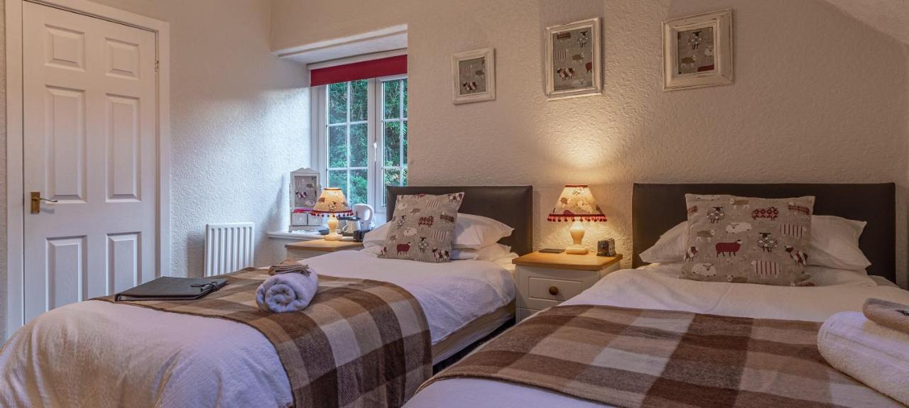 Glyntwrog House Bed & Breakfast Betws-y-Coed Luaran gambar