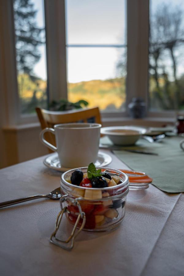 Glyntwrog House Bed & Breakfast Betws-y-Coed Luaran gambar